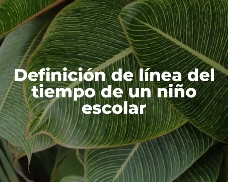 Definición de línea del tiempo de un niño escolar