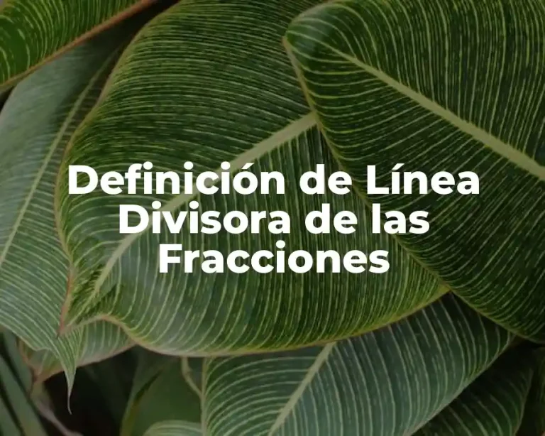 Definición de Línea Divisora de las Fracciones