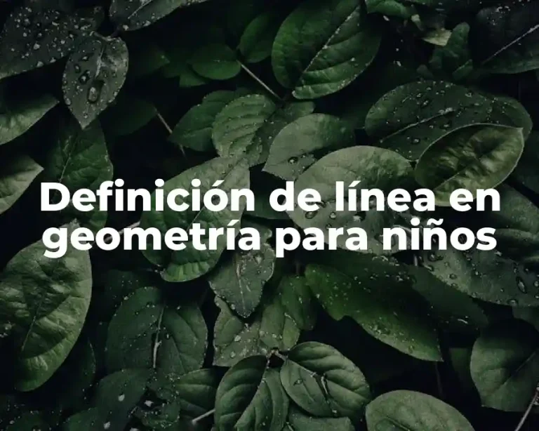 Definición de línea en geometría para niños