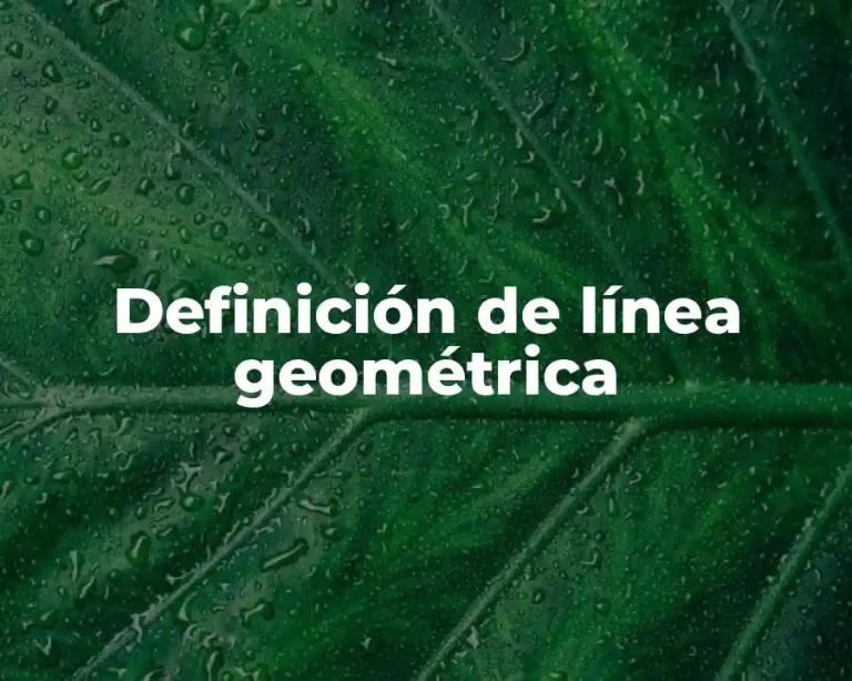 Definición de línea geométrica
