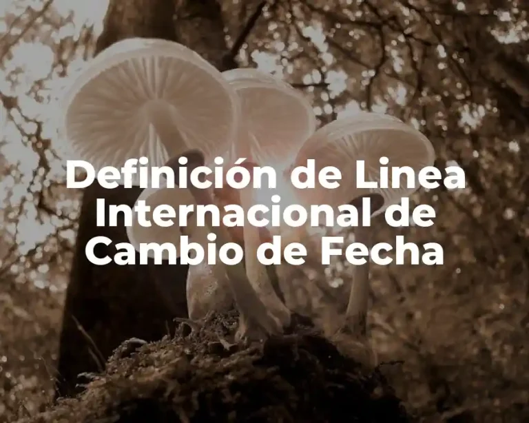 Definición de Linea Internacional de Cambio de Fecha