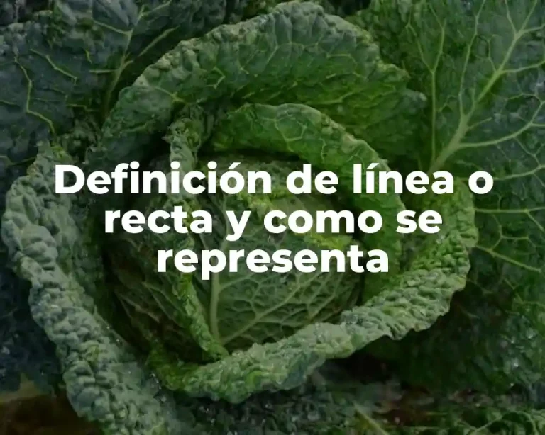 Definición de línea o recta y como se representa