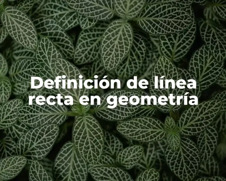 Definición de línea recta en geometría
