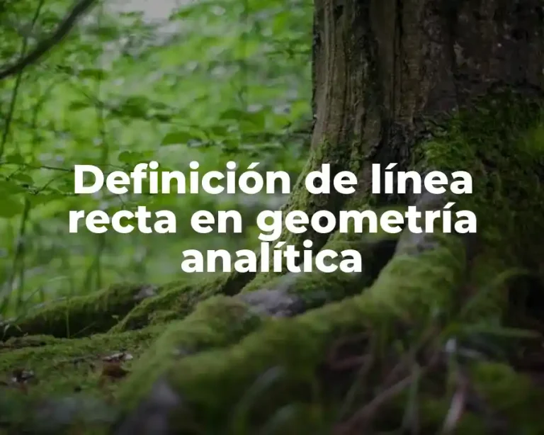 Definición de línea recta en geometría analítica