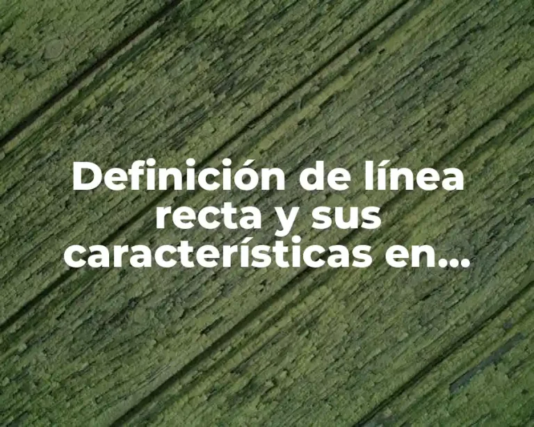 Definición de línea recta y sus características en matemáticas