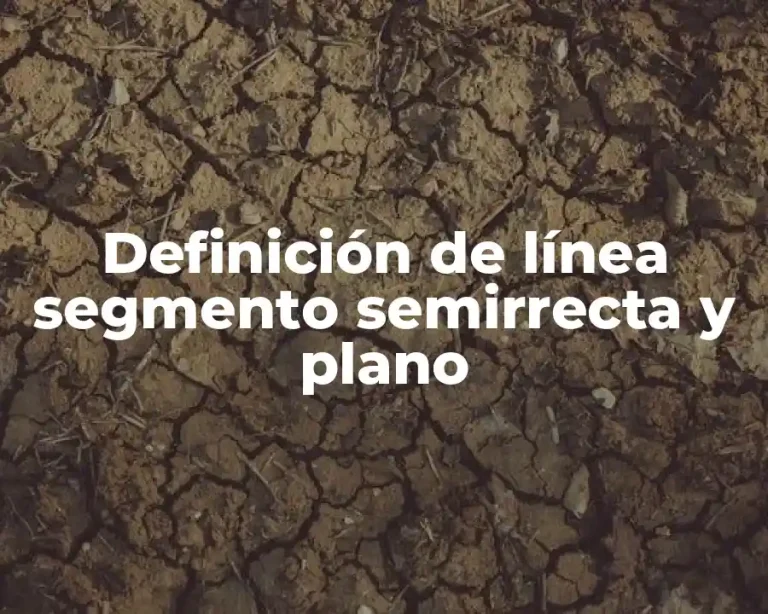 Definición de línea segmento semirrecta y plano
