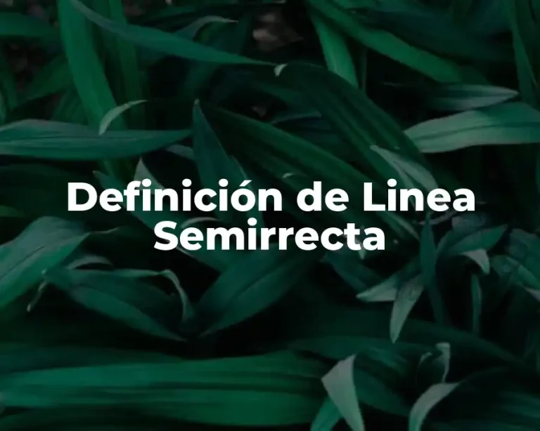 Definición de Linea Semirrecta