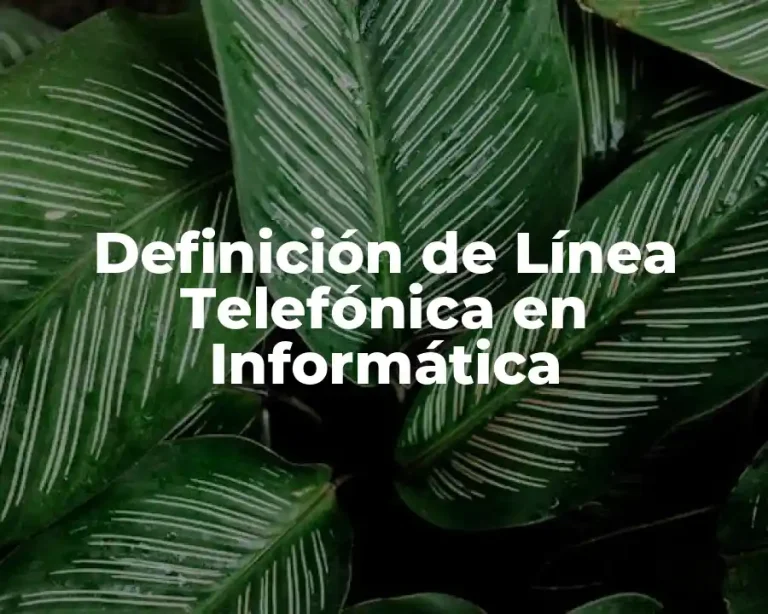 Definición de Línea Telefónica en Informática