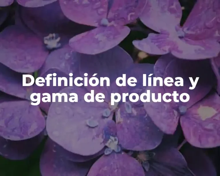 Definición de línea y gama de producto