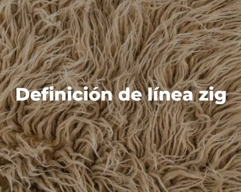 Definición de línea zig