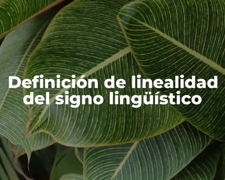 Definición de linealidad del signo lingüístico