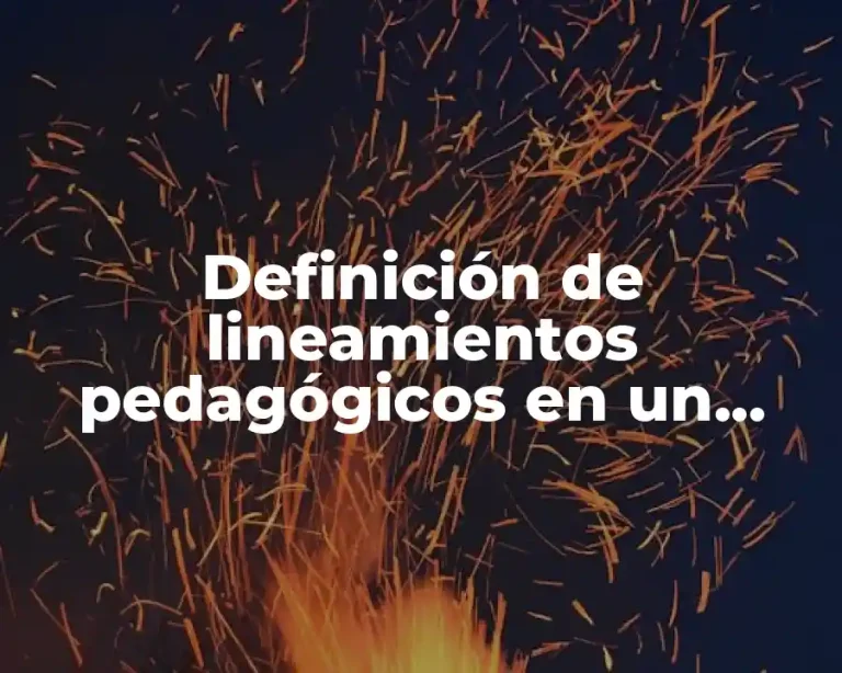 Definición de lineamientos pedagógicos en un programa de estudios