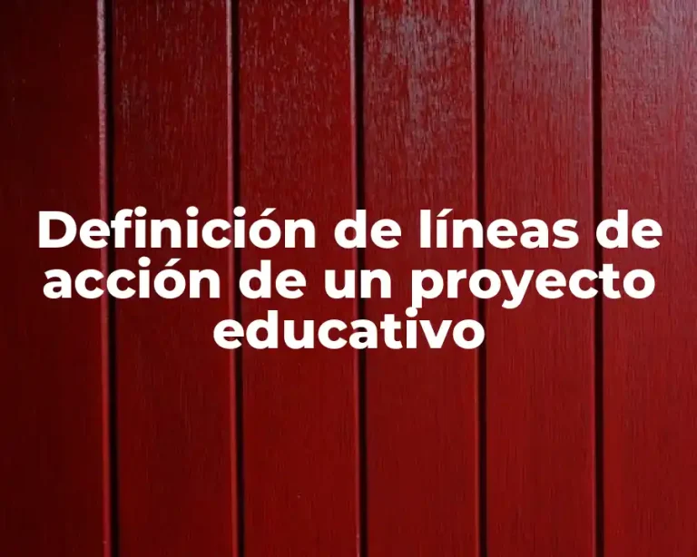 Definición de líneas de acción de un proyecto educativo