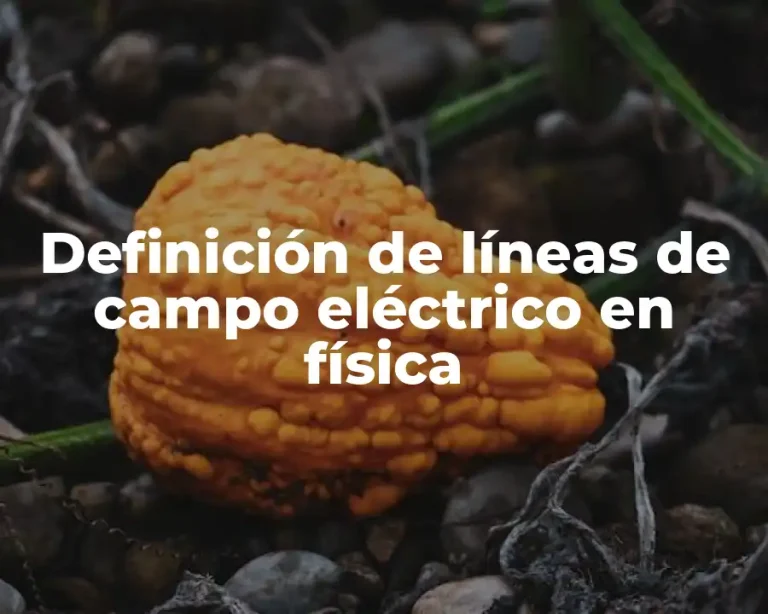 Definición de líneas de campo eléctrico en física