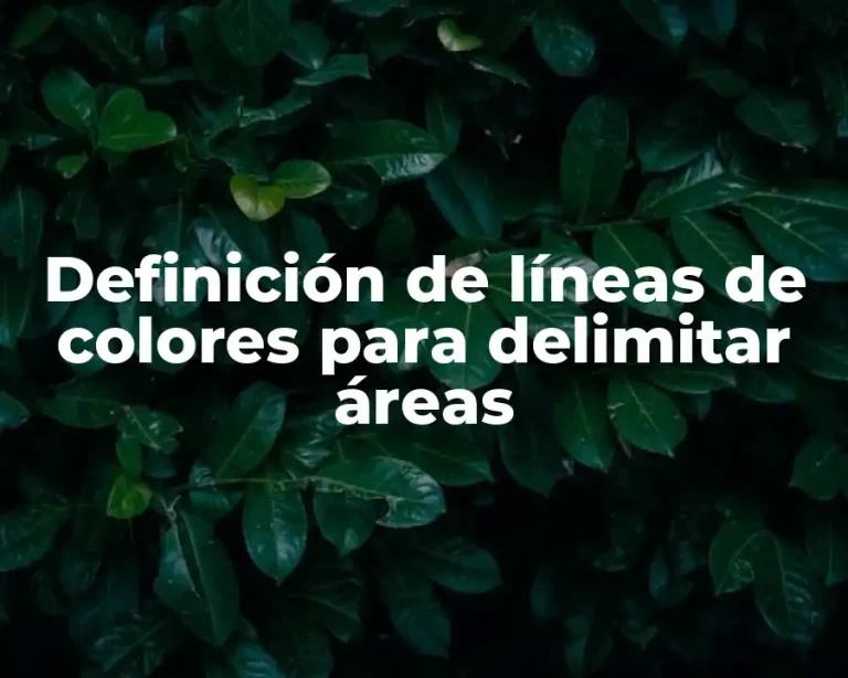 Definición de líneas de colores para delimitar áreas