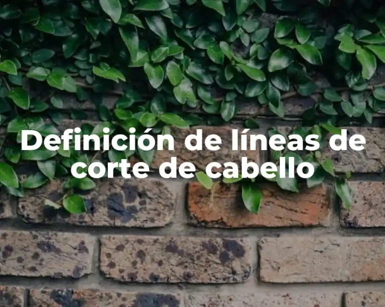 Definición de líneas de corte de cabello