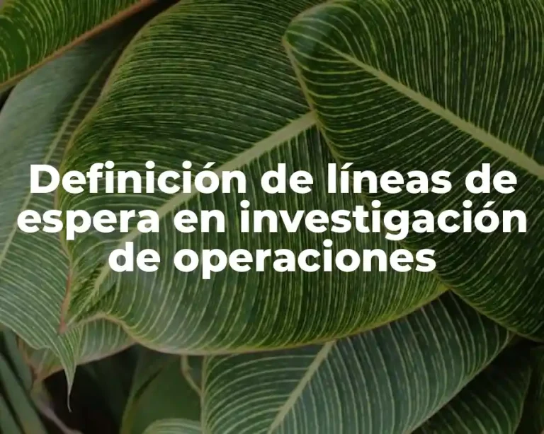 Definición de líneas de espera en investigación de operaciones