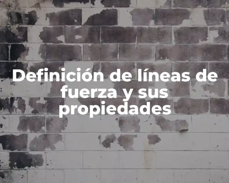 Definición de líneas de fuerza y sus propiedades