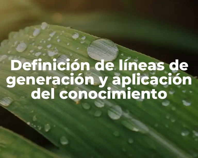 Definición de líneas de generación y aplicación del conocimiento
