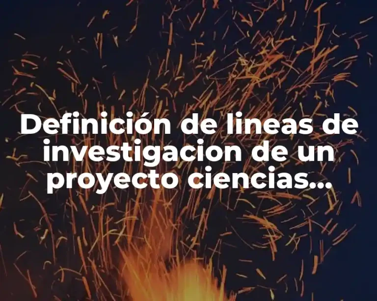 Definición de lineas de investigacion de un proyecto ciencias sociales