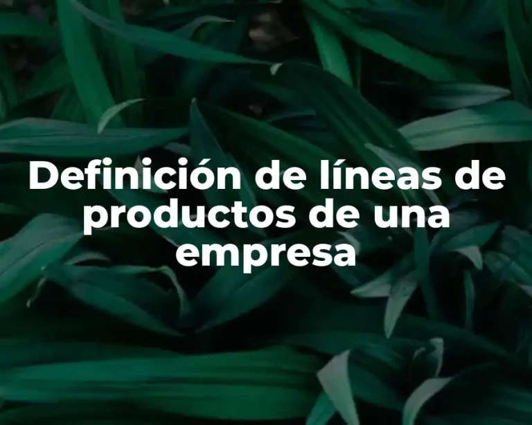 Definición de líneas de productos de una empresa
