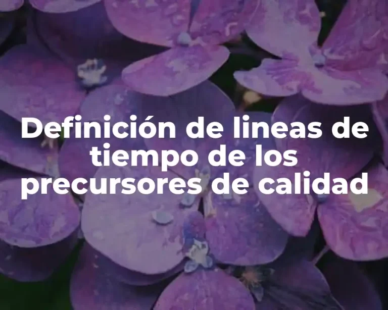 Definición de lineas de tiempo de los precursores de calidad