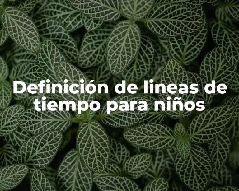 Definición de lineas de tiempo para niños