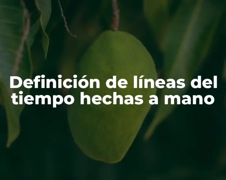 Definición de líneas del tiempo hechas a mano