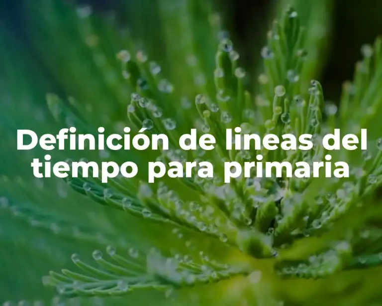 Definición de lineas del tiempo para primaria