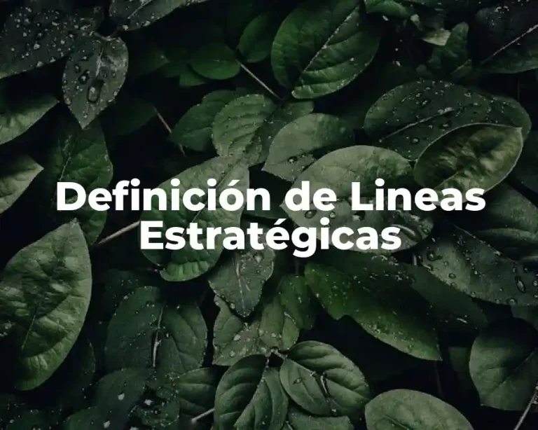 Definición de Lineas Estratégicas