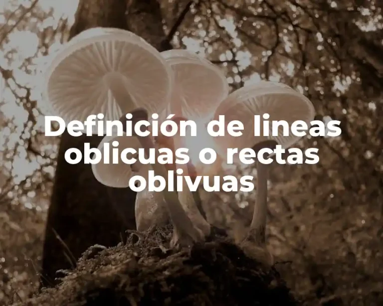 Definición de lineas oblicuas o rectas oblivuas