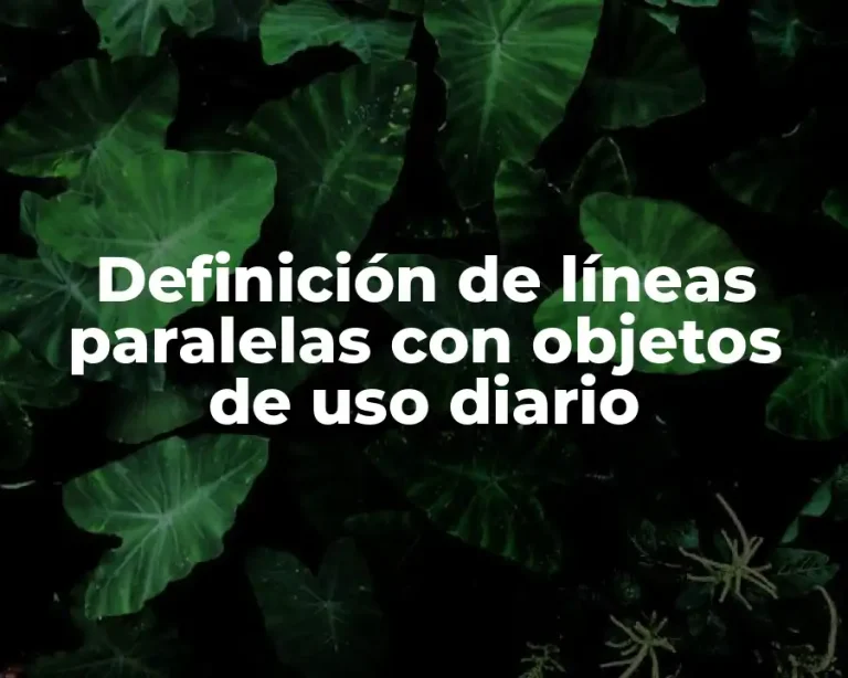Definición de líneas paralelas con objetos de uso diario