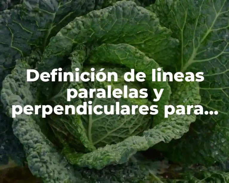 Definición de lineas paralelas y perpendiculares para niños