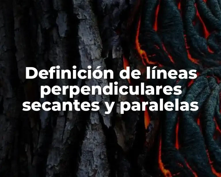 Definición de líneas perpendiculares secantes y paralelas