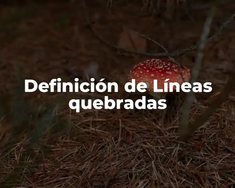 Definición de Líneas quebradas