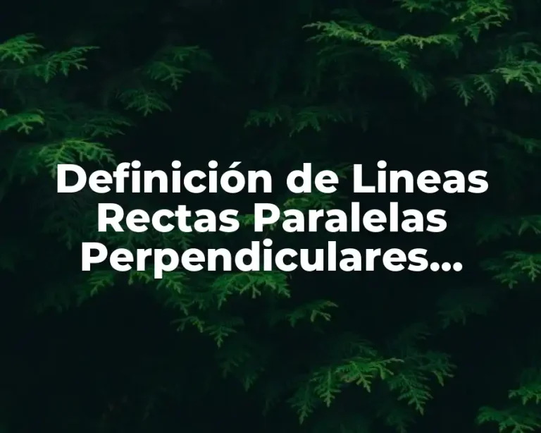 Definición de Lineas Rectas Paralelas Perpendiculares Secantes