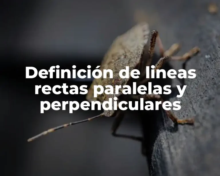 Definición de lineas rectas paralelas y perpendiculares