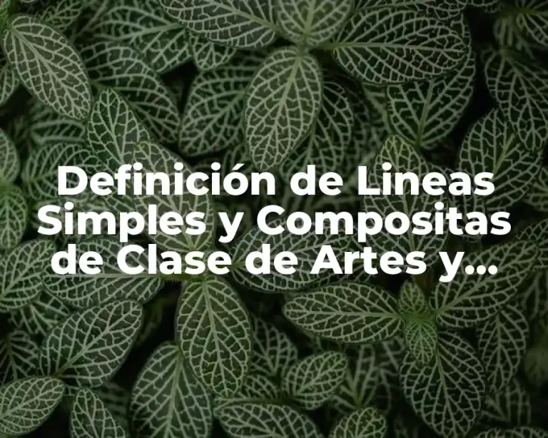 Definición de Lineas Simples y Compositas de Clase de Artes y Ecomunicación