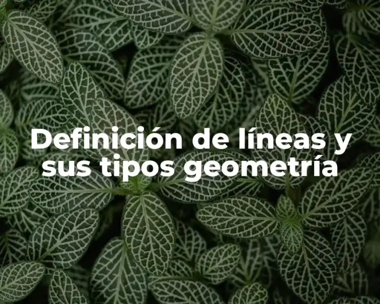 Definición de líneas y sus tipos geometría