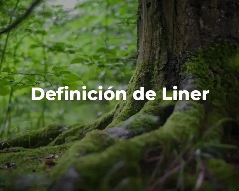 Definición de Liner