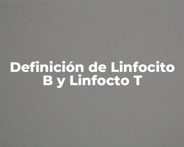 Definición de Linfocito B y Linfocto T