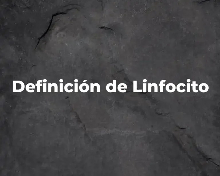 Definición de Linfocito