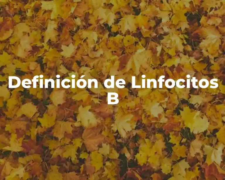 Definición de Linfocitos B