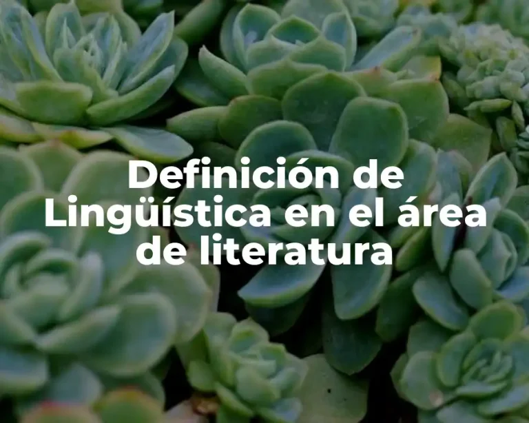 Definición de Lingüística en el área de literatura