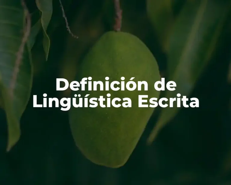 Definición de Lingüística Escrita