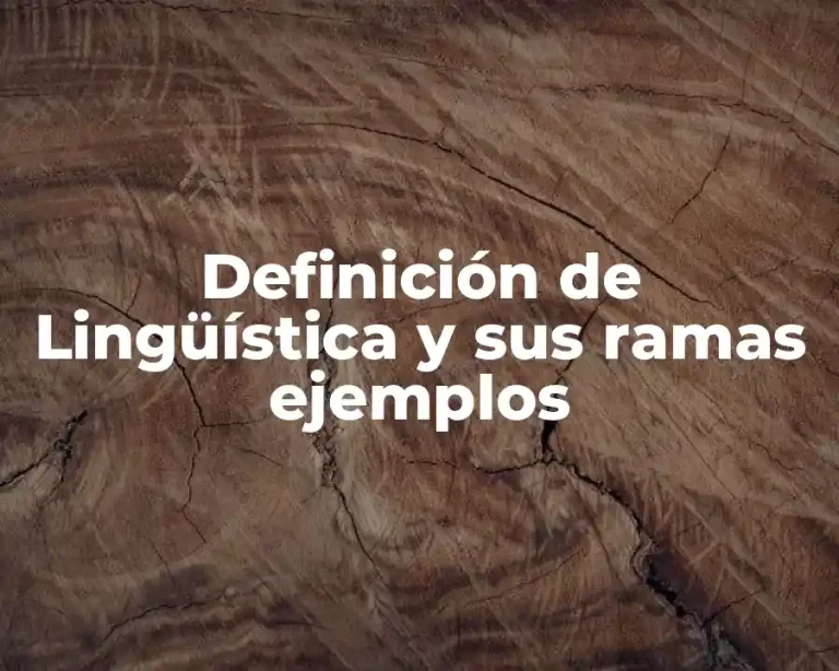 Definición de Lingüística y sus ramas ejemplos
