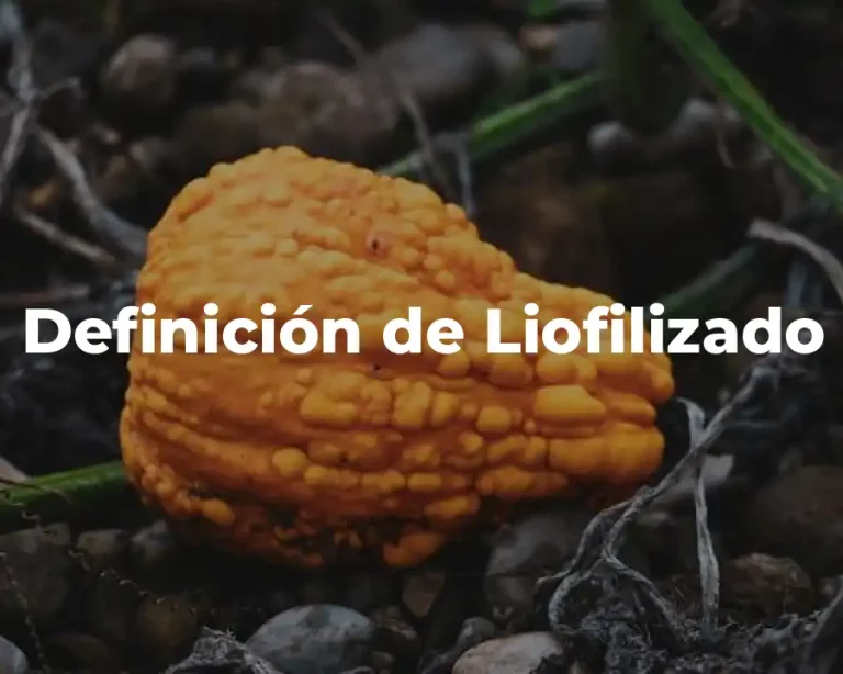 Definición de Liofilizado