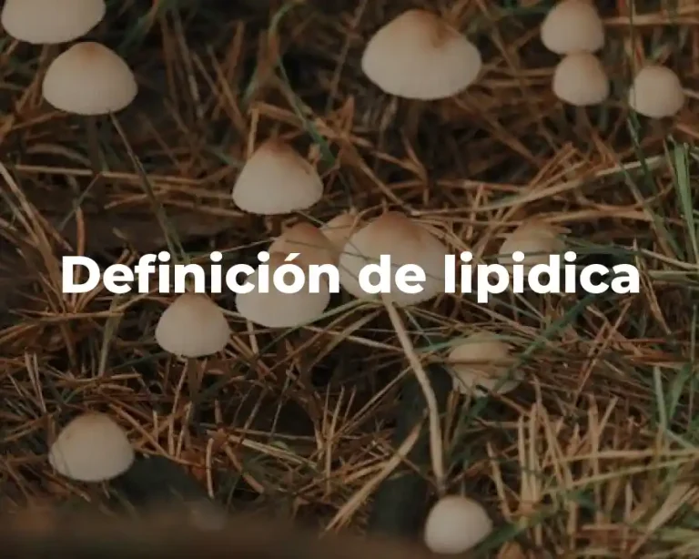 Definición de lipidica