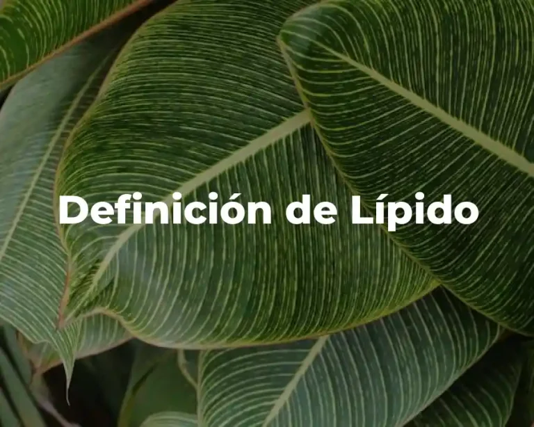 Definición de Lípido