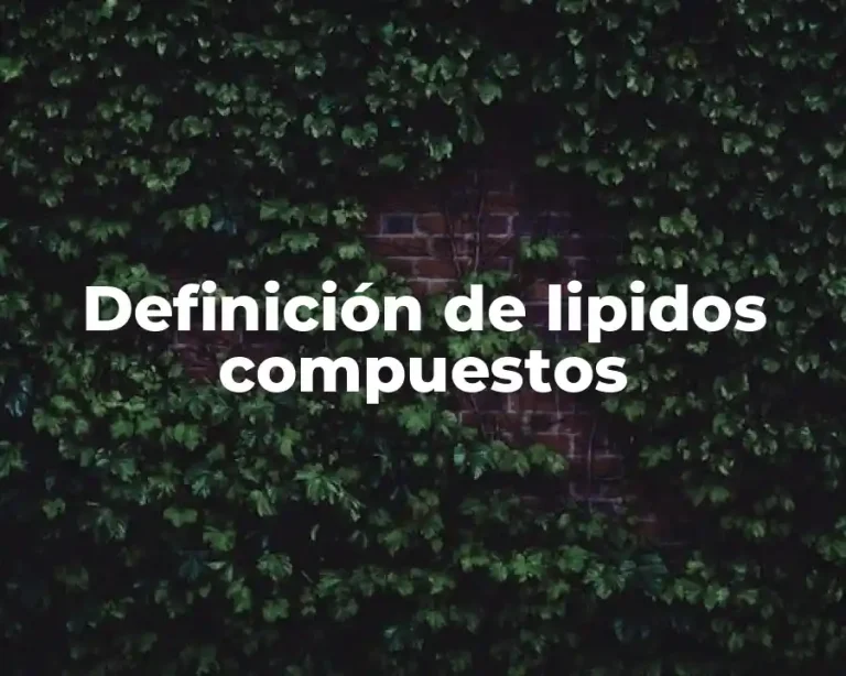 Definición de lipidos compuestos